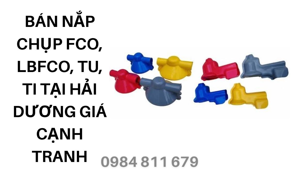 Bán Nắp Chụp FCO LBFCO, TU, TI Tại Hải Dương Giá Cạnh Tranh
