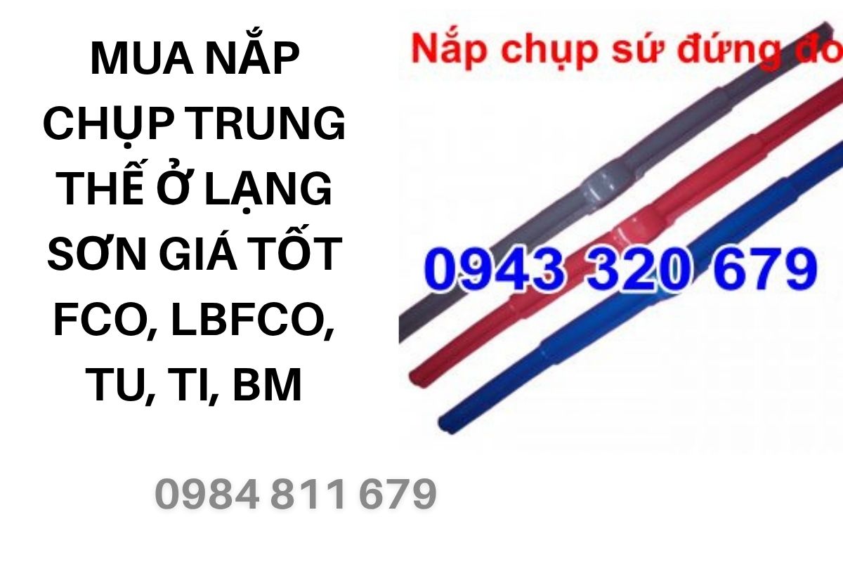 Mua Nắp Chụp Trung Thế Ở Lạng Sơn Giá Tốt FCO, LBFCO, TU, TI, BM