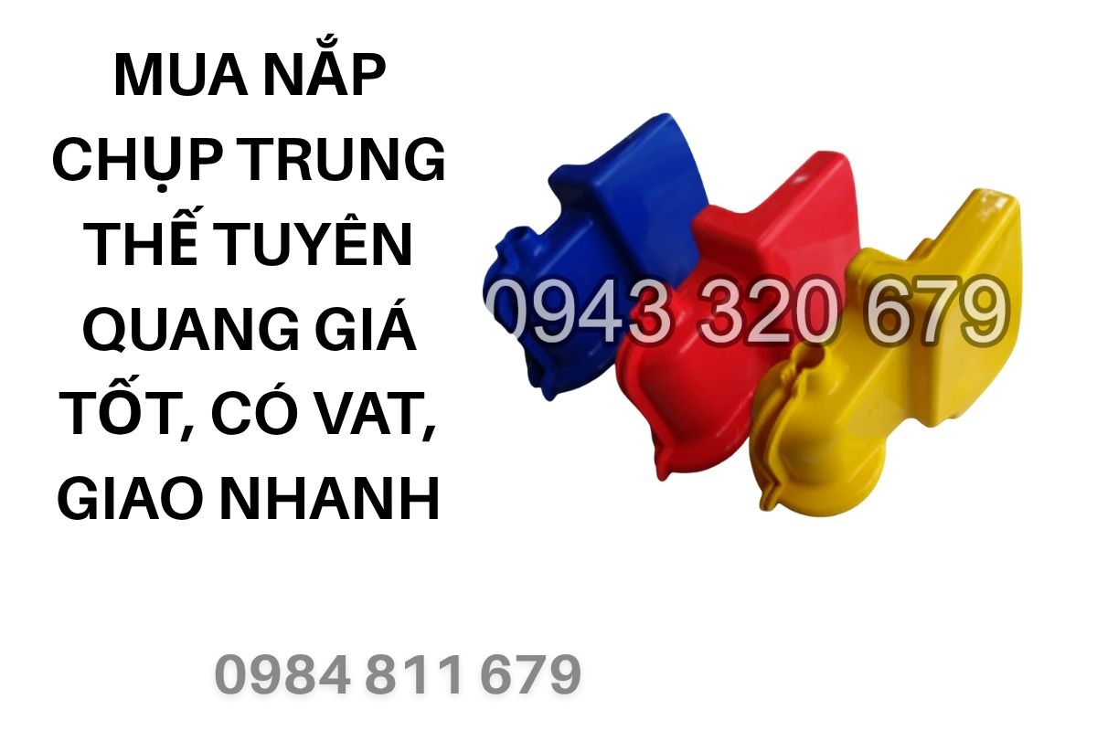 Mua Nắp Chụp Trung Thế Tuyên Quang Giá Tốt, Có VAT, Giao Nhanh