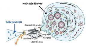 Chức năng của màng RO